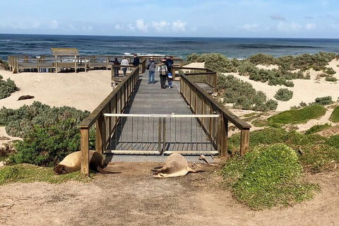 Kangaroo Island 4WD Tour - Best Of KI - Hotel Gold Coast 2