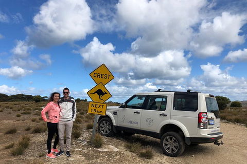 Kangaroo Island 4WD Tour - Best Of KI - Hotel Gold Coast 5