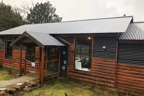 After Dark Tasmanian Devil Feeding Tour At Cradle Mountain - Hotel Gold Coast 3