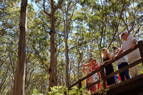 The All About Margaret River Tour: Wine, Coffee, Lunch And Forest - Hotel Gold Coast 3