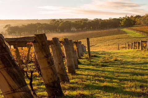 The All About Margaret River Tour: Wine, Coffee, Lunch And Forest - Hotel Gold Coast 5