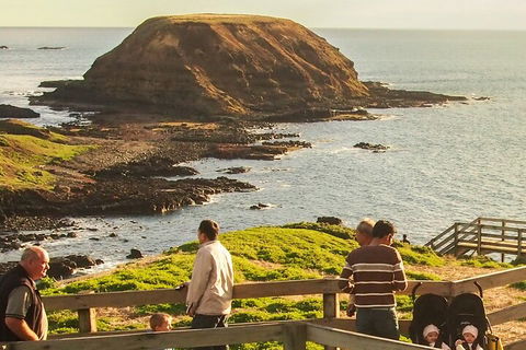 Healesville Sanctuary And Phillip Island Wildlife Bus Tour - Hotel Gold Coast 3
