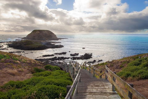 Healesville Sanctuary And Phillip Island Wildlife Bus Tour - Hotel Gold Coast 5
