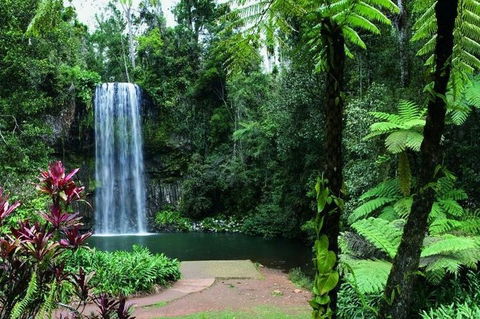 Paronella Park And Millaa Millaa Falls Full-day Tour From Cairns - Hotel Gold Coast 3