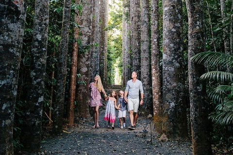 Paronella Park And Millaa Millaa Falls Full-day Tour From Cairns - Hotel Gold Coast 5