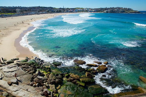 Private Sydney Foreshores And Beaches SUV Tour - Hotel Gold Coast 0