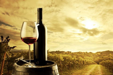 Barossa Valley Cellar Doors Luxury Wine Tour - Hotel Gold Coast 0