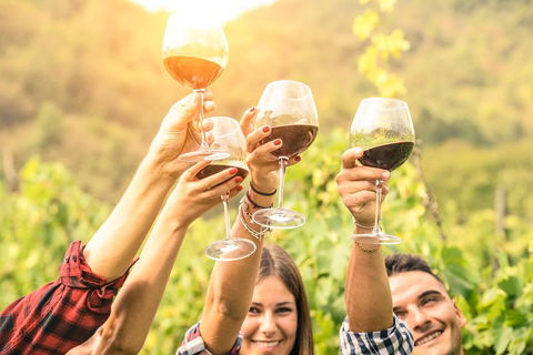 Barossa Valley Cellar Doors Luxury Wine Tour - Hotel Gold Coast 1
