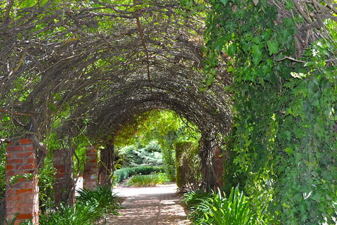 Barossa Valley Cellar Doors Luxury Wine Tour - Hotel Gold Coast 3