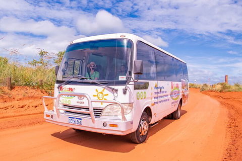 Malcolm Douglas Crocodile Park Tour Including Transportation - Hotel Gold Coast 3
