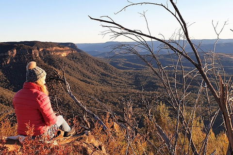 Ultimate Blue Mountains Waterfalls, Walks & Sunset PRIVATE Tour - Hotel Gold Coast 2