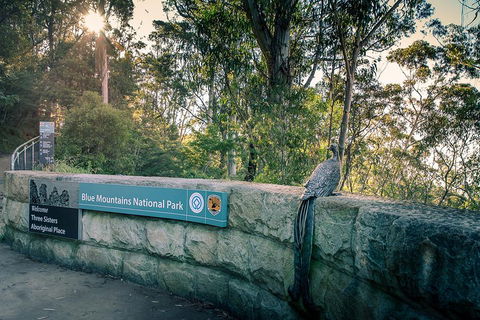 Ultimate Blue Mountains Waterfalls, Walks & Sunset PRIVATE Tour - Hotel Gold Coast 3
