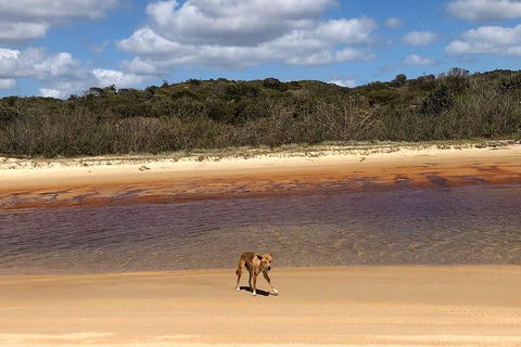 Pippies 3 Days 2 Nights Fraser Island Tour - Hotel Gold Coast 2