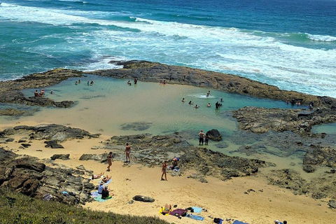 Pippies 3 Days 2 Nights Fraser Island Tour - Hotel Gold Coast 5