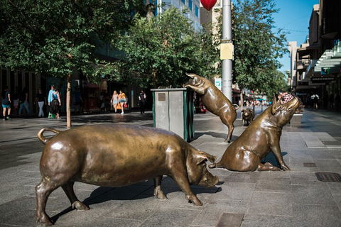 Guided Walking Tour In Adelaide - Hotel Gold Coast 4