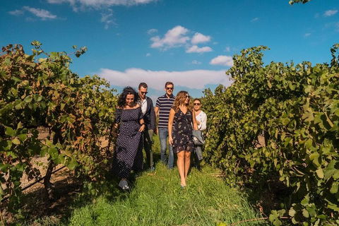 Barossa Valley Private Tour (from 2 To 11 People) - Hotel Gold Coast 0