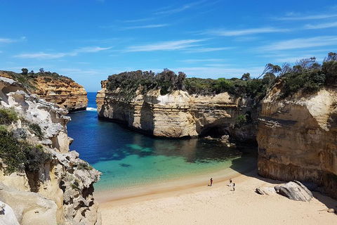 Helicopter Flight + Fine Dining Private Luxury Great Ocean Road Tour - Hotel Gold Coast 1