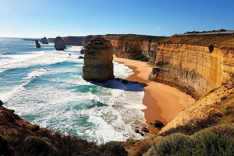 Helicopter Flight + Fine Dining Private Luxury Great Ocean Road Tour - Hotel Gold Coast 4