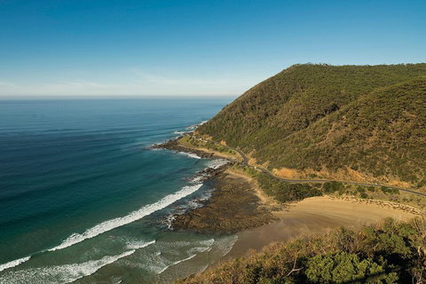 Great Ocean Road Adventure - Private Tour - Reverse - Hotel Gold Coast 2