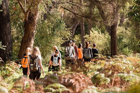 Half-Day Yanchep Ghost House Wilderness Guided Hike Tour - Hotel Gold Coast 0
