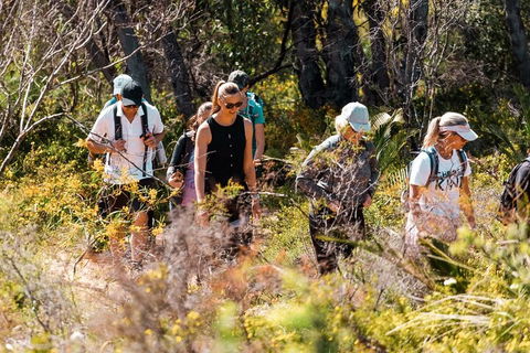 Half-Day Yanchep Ghost House Wilderness Guided Hike Tour - Hotel Gold Coast 2
