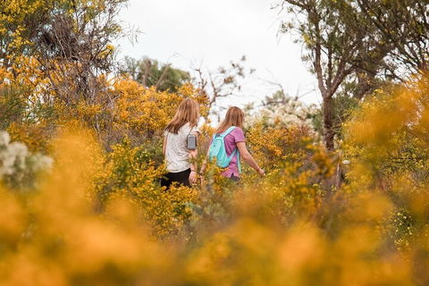 Half-Day Yanchep Ghost House Wilderness Guided Hike Tour - Hotel Gold Coast 4