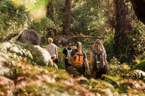 Half-Day Yanchep Ghost House Wilderness Guided Hike Tour - Hotel Gold Coast 5