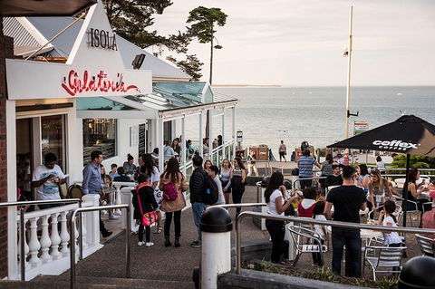 Phillip Island And French Island Wildlife Expedition - Hotel Gold Coast 0