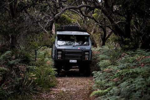 Phillip Island And French Island Wildlife Expedition - Hotel Gold Coast 4