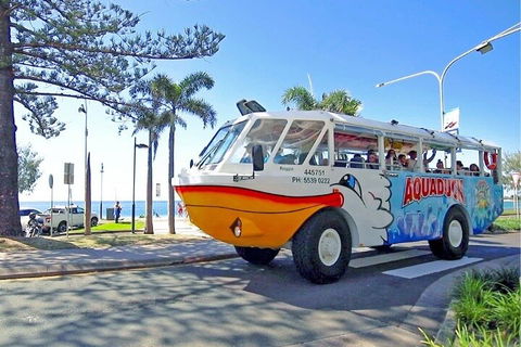 Aquaduck Sunshine Coast - Hotel Gold Coast 1