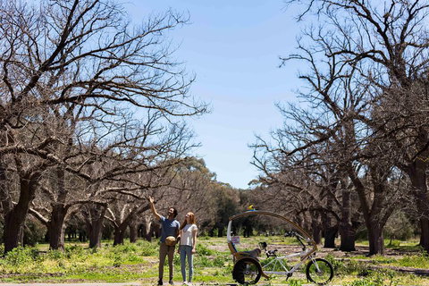 Adelaide 90-Minute Pedicab Tour: Scenic Green & River Experience - Hotel Gold Coast 1