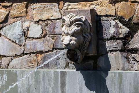 Adelaide 90-Minute Pedicab Tour: Scenic Green & River Experience - Hotel Gold Coast 3