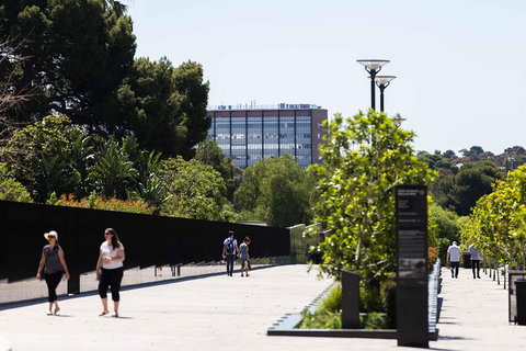 Adelaide 90-Minute Pedicab Tour: Scenic Green & River Experience - Hotel Gold Coast 4