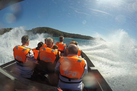 Noosa Thriller - 500hp Ocean Adventure Ride - Hotel Gold Coast 3