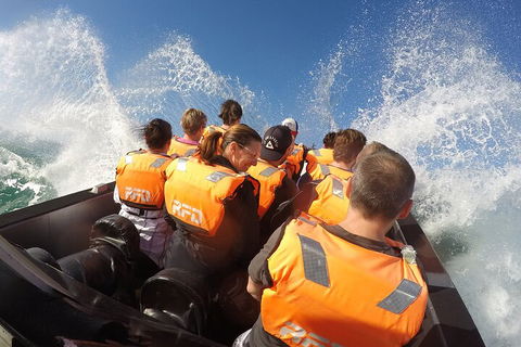 Noosa Thriller - 500hp Ocean Adventure Ride - Hotel Gold Coast 4