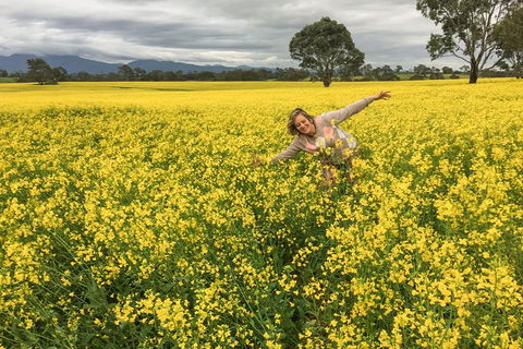 Grampians - Private Tour - Hotel Gold Coast 3