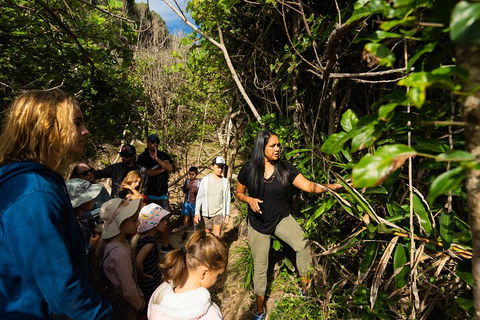 Cape Byron Aboriginal Tour - Hotel Gold Coast 4