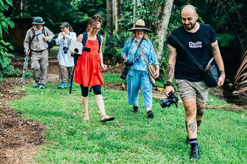 Let's Go Buggin & Let's Go Shroomin - Photography & Nature Walking Tours - Hotel Gold Coast 0