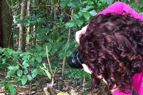 Let's Go Buggin & Let's Go Shroomin - Photography & Nature Walking Tours - Hotel Gold Coast 1
