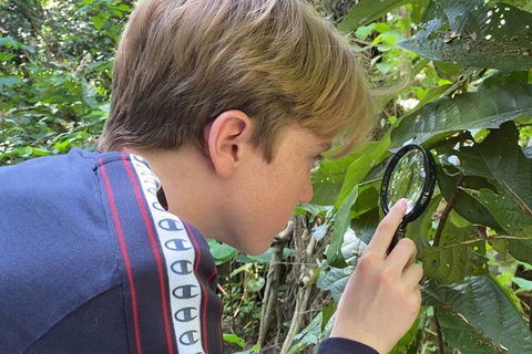 Let's Go Buggin & Let's Go Shroomin - Photography & Nature Walking Tours - Hotel Gold Coast 3