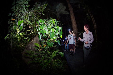 Let's Go Buggin & Let's Go Shroomin - Photography & Nature Walking Tours - Hotel Gold Coast 4