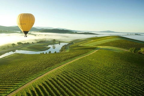 Half-Day Or Full-Day Tour With Private Guide From Melbourne - Hotel Gold Coast 4
