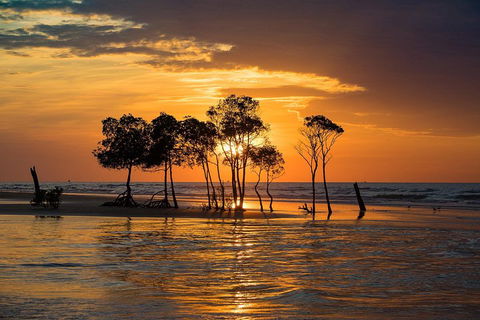 Delightful Darwin Self-Guided Audio Tour - Hotel Gold Coast 3