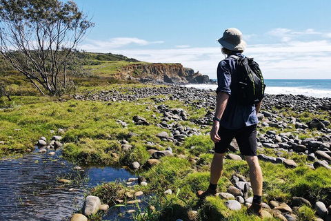 Half Day Guided Small Group Walk - Hotel Gold Coast 0