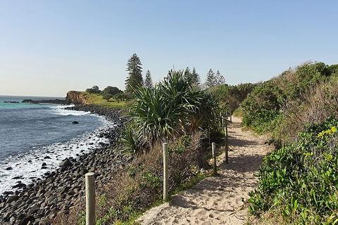 Half Day Guided Small Group Walk - Hotel Gold Coast 2