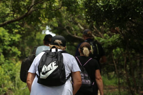 Half Day Guided Small Group Walk - Hotel Gold Coast 4
