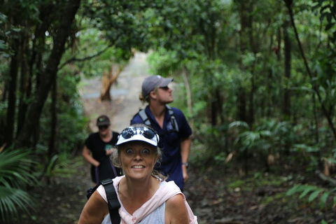 Half Day Guided Small Group Walk - Hotel Gold Coast 5