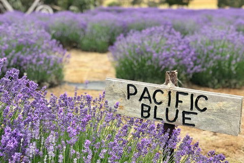 Kangaroo Island Half Day Food And Wine Trail Tour - Hotel Gold Coast 5