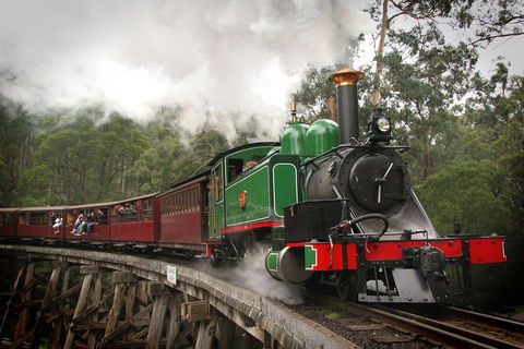 Puffing Billy, Wildlife Sanctuary & Penguins Day Tour From Melbourne - Hotel Gold Coast 5