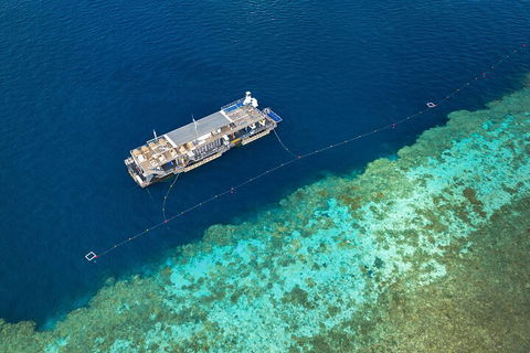 Great Barrier Reef Day Cruise To Reefworld - Hotel Gold Coast 2